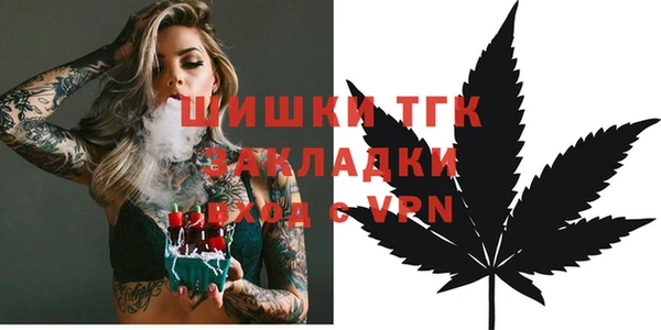 сатива Беломорск