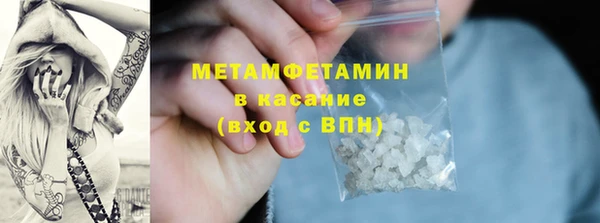 сатива Беломорск