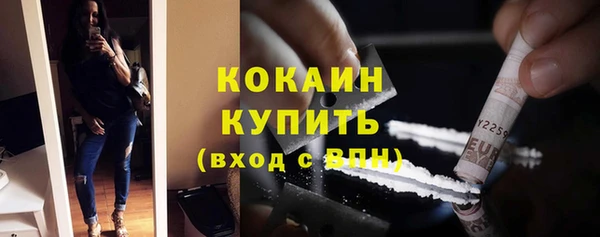 сатива Беломорск