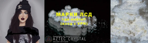 сатива Беломорск