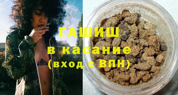 сатива Беломорск