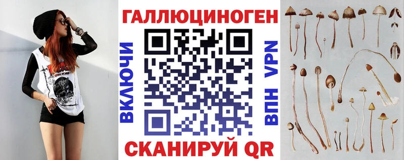где продают наркотики  Горняк  Псилоцибиновые грибы Cubensis 